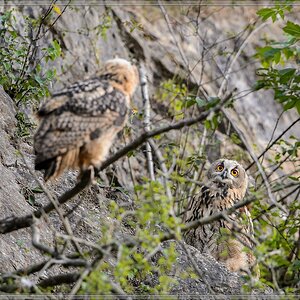 20140703 7763 [NIKON D4] 600 mm,1 60 Sek. bei ƒ   6,3