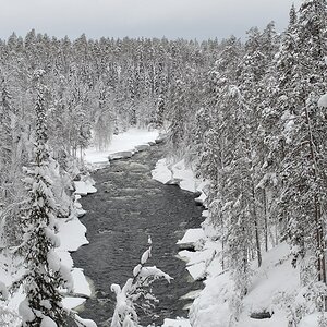 s748 Fluss 8384  5
