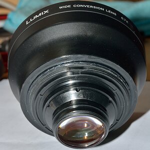 DSC 8507