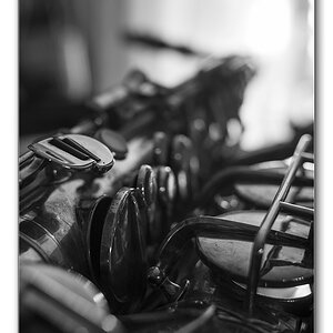 sax16