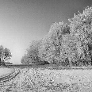 Die raue Alb im Winter