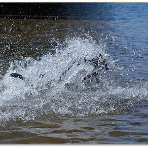 120723 Main 045
D700 24-120/4,0
