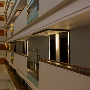 Hilton Flur