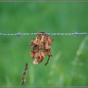 20140725 5577 [NIKON 1 V3] 300 mm,1 125 Sek. bei ƒ   5,6