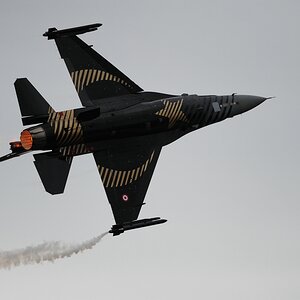 comp DSC 1569
