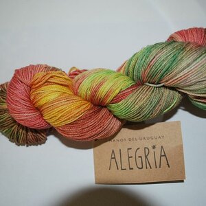 Manos Alegria 1