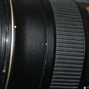 DSC 8616