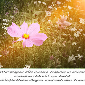 Traum