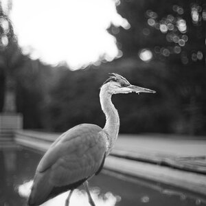 summer11