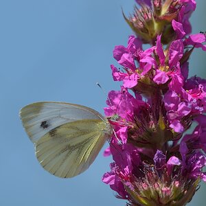 20140706 132155