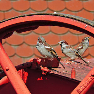 DSCN03671
