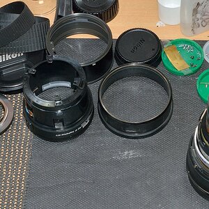 DSC 8617