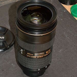 DSC 8620