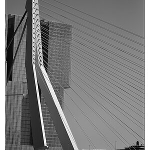 Rotterdam 16