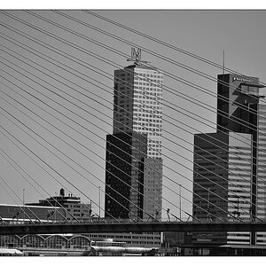 Rotterdam 15