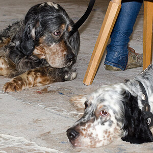 Vater & Sohn 1