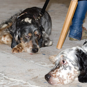 Vater & Sohn 3
