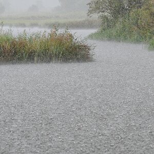 Regen