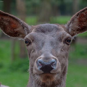 14. April 2014  DSC9192