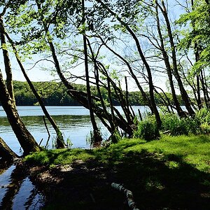 Usedom 002