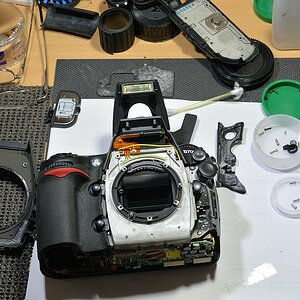 DSC 8601