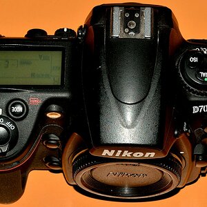 DSC 8607