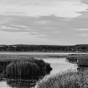 DSC 7002