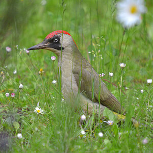 DSC 8909 khg
