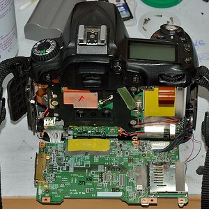 DSC 8545
