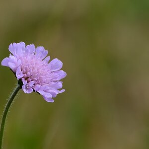 DSC 2187x