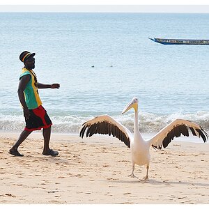 ct17Senegal 1 370b
