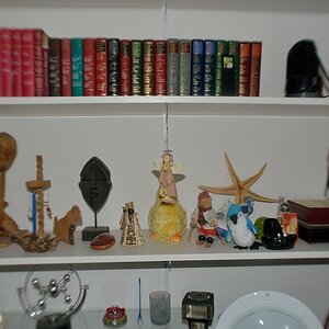 DSC 8506