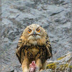 20140710 0826 [NIKON D7100] 850 mm,1 100 Sek. bei ƒ   6,3