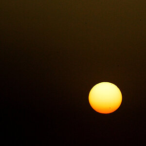 sonnenflecken