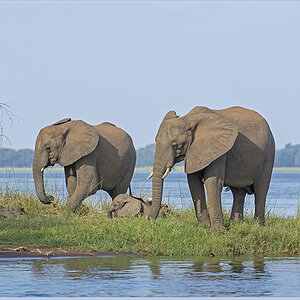 Sambia 3633