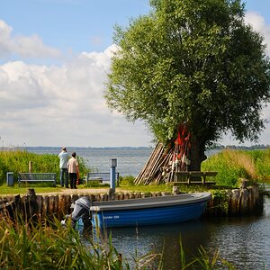 cd Gnitz 1