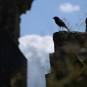 Trier 2012 07 03