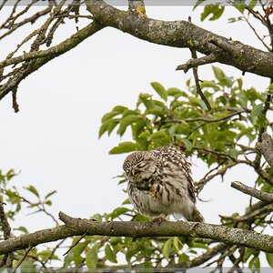 20140621 9928 [NIKON D7100] 400 mm,1 500 Sek. bei ƒ   8,0 2