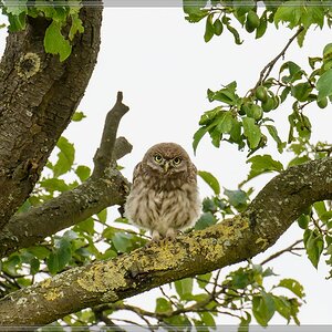 20140621 9954 [NIKON D7100] 400 mm,1 640 Sek. bei ƒ   5,6 2