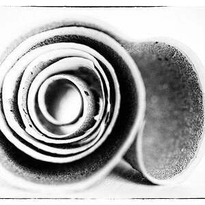 235/365