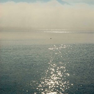 Weg ins Licht