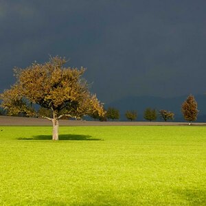 kurzes Lichtfenster bei Gewitterstimmung