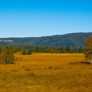 Hochmoor bei Rothenturm vom Zug aus