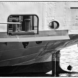 LuzernPZ1 0273