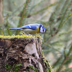 DSC 0104 khg