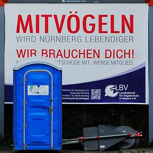 Mit Vögeln