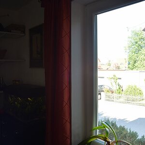 DSC 8612