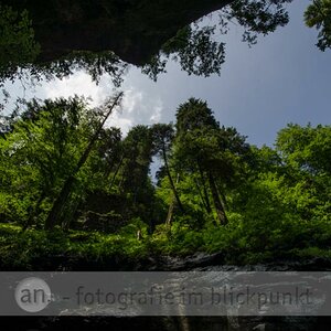 Der Blick nach oben in der Breitachklamm.