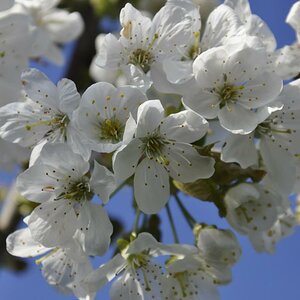 DSC0379[1]