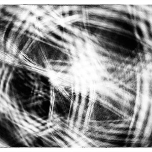236/365